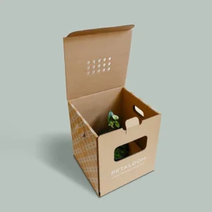 Bux-Board-Boxes-TCP-Dubai-UAE